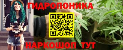 ПСИЛОЦИБИНОВЫЕ ГРИБЫ Владимир