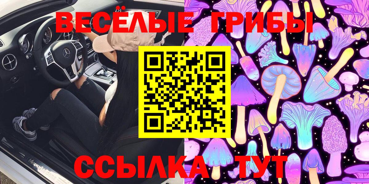 Дзержинск  Псилоцибиновые грибы прущие грибы  Вход с VPN 