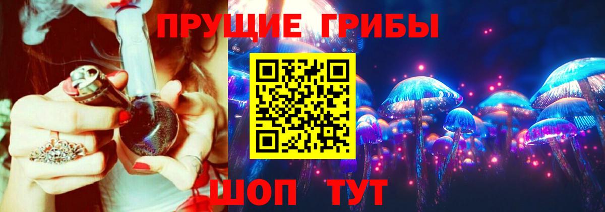 Псилоцибиновые грибы Cubensis Дзержинск